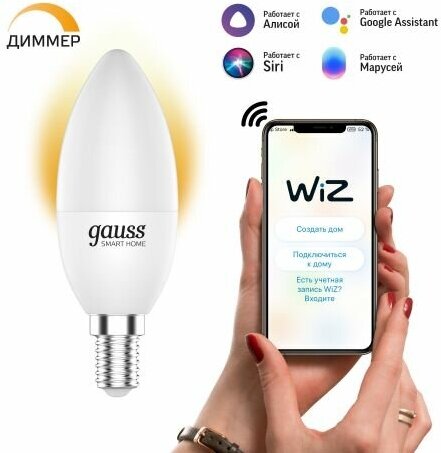 Умная лампа Wi-Fi Gauss Smart Home DIM E14 C37 5 Вт 2700К 1/10/40