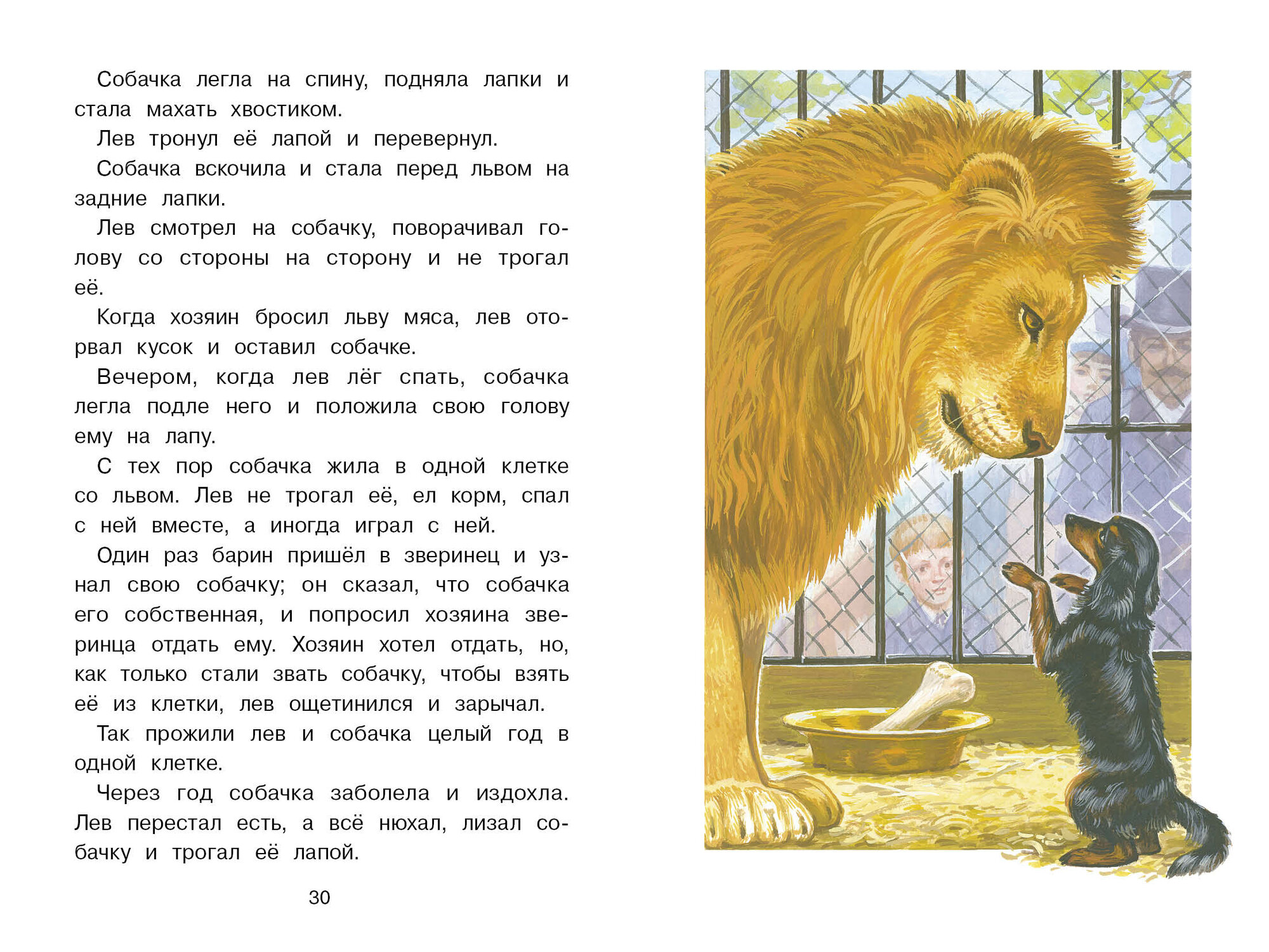 Книга Стрекоза "Филипок", Лев Толстой, твердый переплет, 64 страницы — фото 1