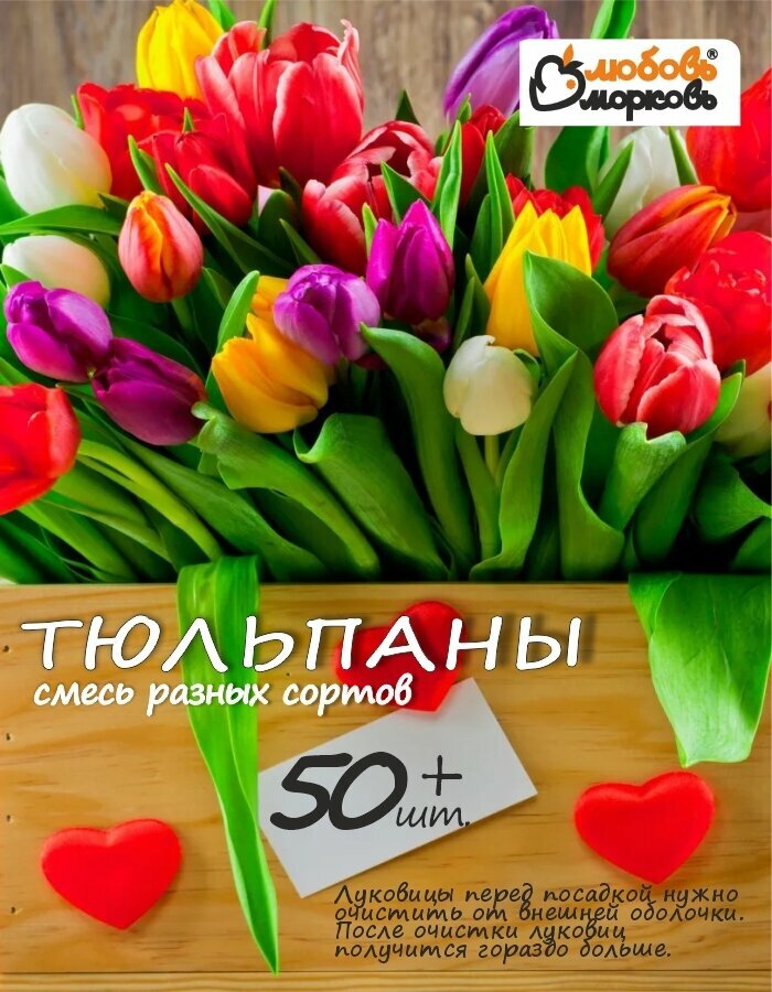 Тюльпан Луковицы неочищенные Микс сортов более 50шт+ (Любовь морковь)