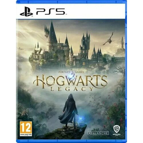 Игра Hogwarst Legacy Хогвартс Наследие для PS5 диск русские субтитры 3890₽