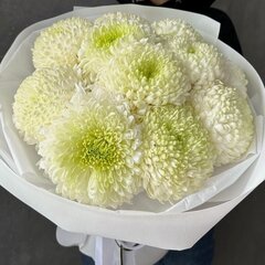 Изображение товара Букет из белых хризантем 11 шт, красивый букет цветов, шикарный, премиум цветы, премиум букет