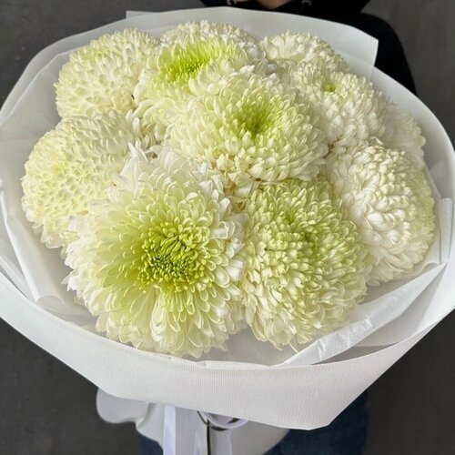 Изображение товара Букет из белых хризантем 11 шт, красивый букет цветов, шикарный, премиум цветы, премиум букет