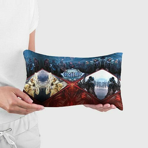 Path of Exile Прямоугольная подушка — фото 1