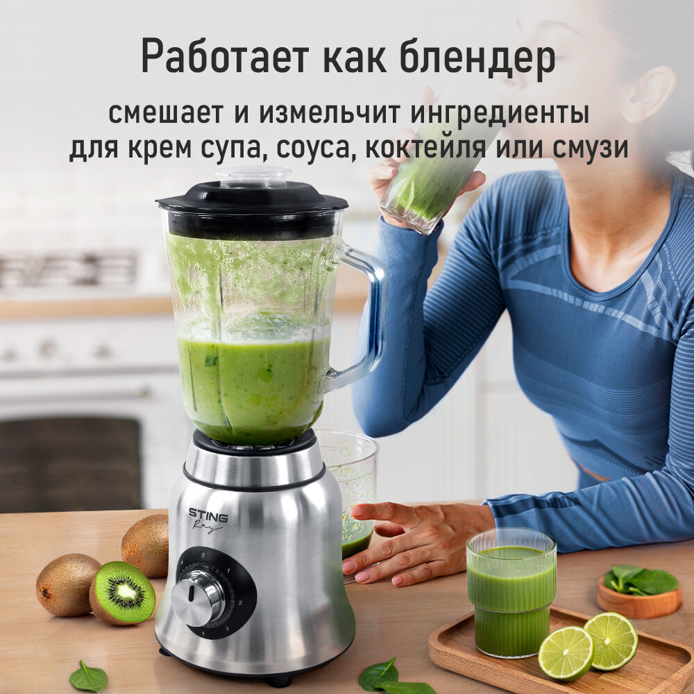 Блендер стационарный STINGRAY ST-KP2202A черный жемчуг/сталь — фото 1