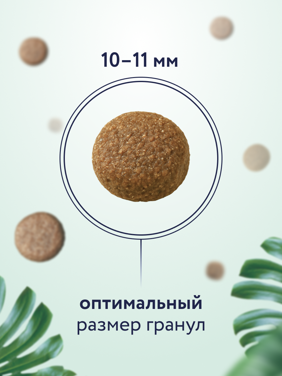 FLORIDA Сухой корм для взрослых собак средних пород с ягненком и грушей, Medium Adult Lamb, 14 кг — фото 1