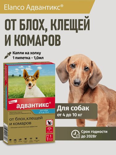 Изображение товара Адвантикс для собак массой от 4 до 10 кг, 1 пип