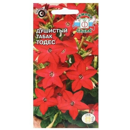 Семена цветов цветок Душистый табак Тодес (декоративный, рубиново-красный) Евро, 0,1 г 10 упаковок