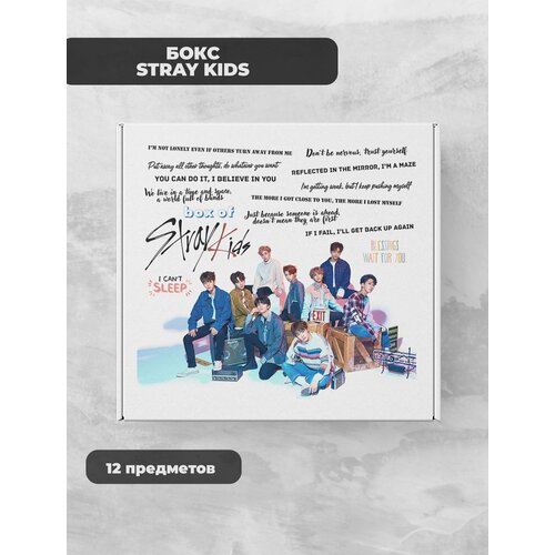 K-Pop Stray Kids подарочный фандомный К-Поп бокс