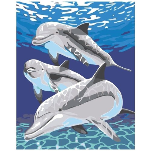 Картина по номерам Дельфины 40х50 см