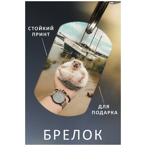 фото Брелок для ключей ежик подарок мужчине ребенку женщине, брелок детский женский мужской, подвеска на рюкзак, брелок на сумку еж zhenya cloud