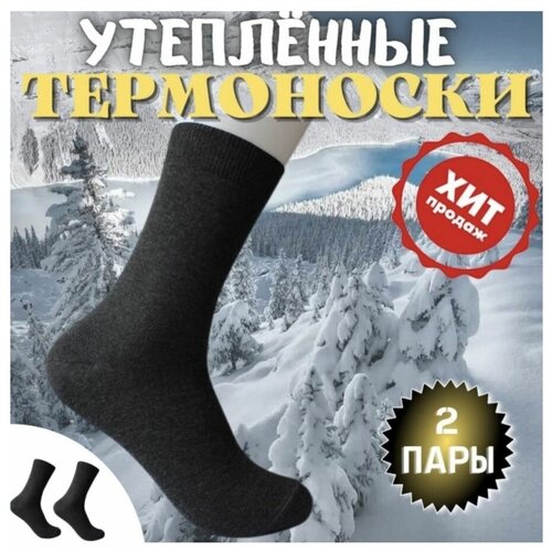 Термоноски , 2 пары, размер 41/45, черный