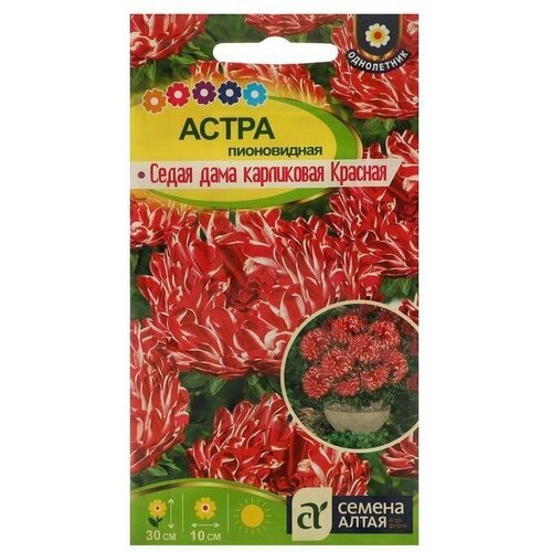 Семена цветов Астра Седая Дама, красная, карликовая 0,1 г 4 упаковки