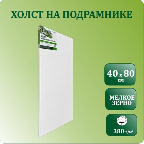 Холст для рисования грунтованный на подрамнике, 40х80 см, Хоббитания, 100 % хлопок 380 гр/м2, холст для акрила, масла и гуаши