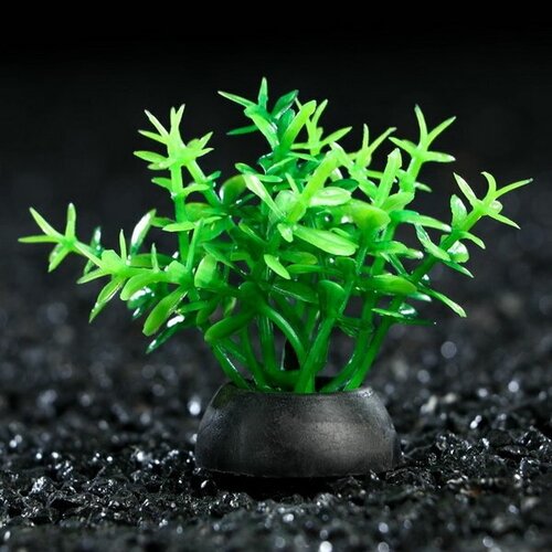 Растение искусственное аквариумное, 5 см, зелёное, 10 шт. декорация для аквариума 28 амфора мини 6 5х5 5х7 5 см