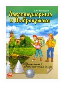 Левополушарные в Выдропужске. Приключения в математическом лагере - фото №1