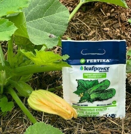 Удобрение водорастворимое Fertika (Фертика) Leaf Power (сила в капле) для огурцов, кабачков, патиссонов, арбузов, дынь и др. тыквенных культур 1 шт 50г - фотография № 5