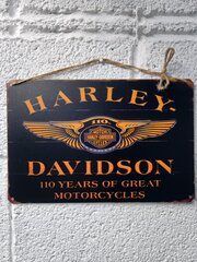 Готовый подарок, мотоцикл Харли Дэвидсон 10 лет постер 20 на 30 см, шнур-подвес в подарок
