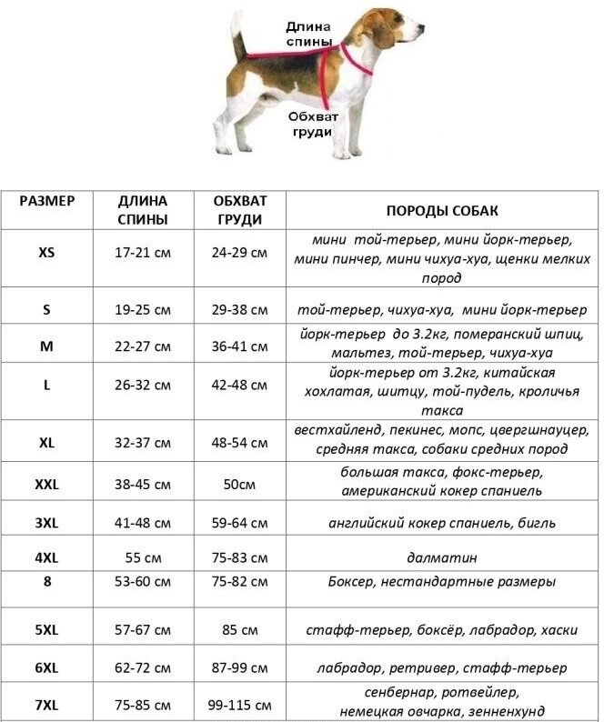Комбинезон-дождевик для собак утепленный (27см ) - фотография № 5