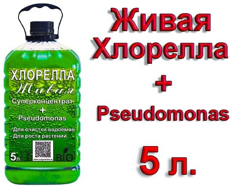 Суперконцентрат Хлореллы + полезные бактерии Pseudomonas, 5 литров