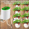 Автополив для 8 растений, автоматический полив комнатных растений капельный - изображение