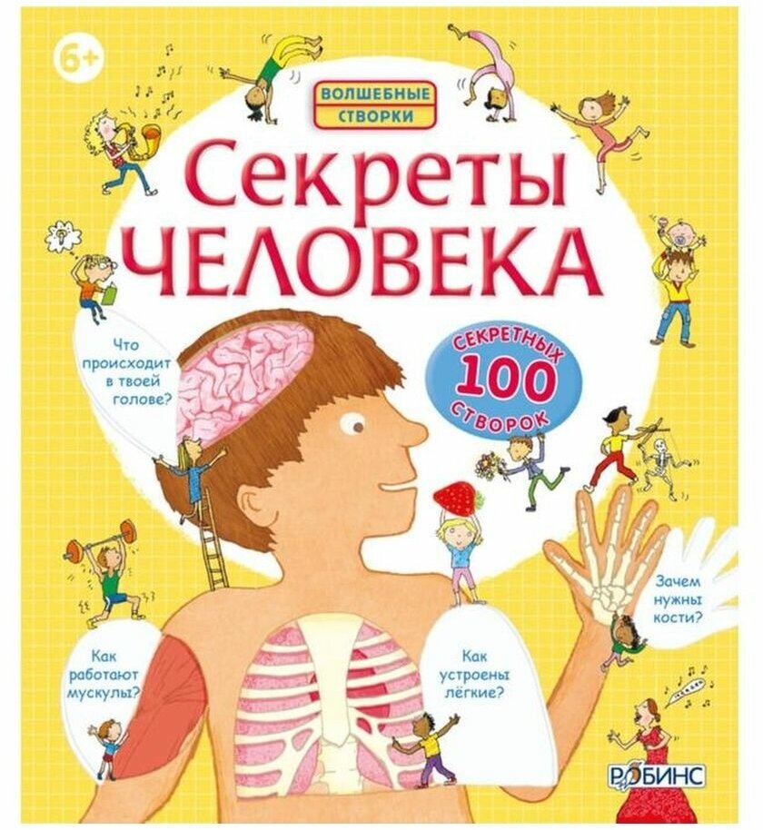 Волшебные створки "Секреты человека"