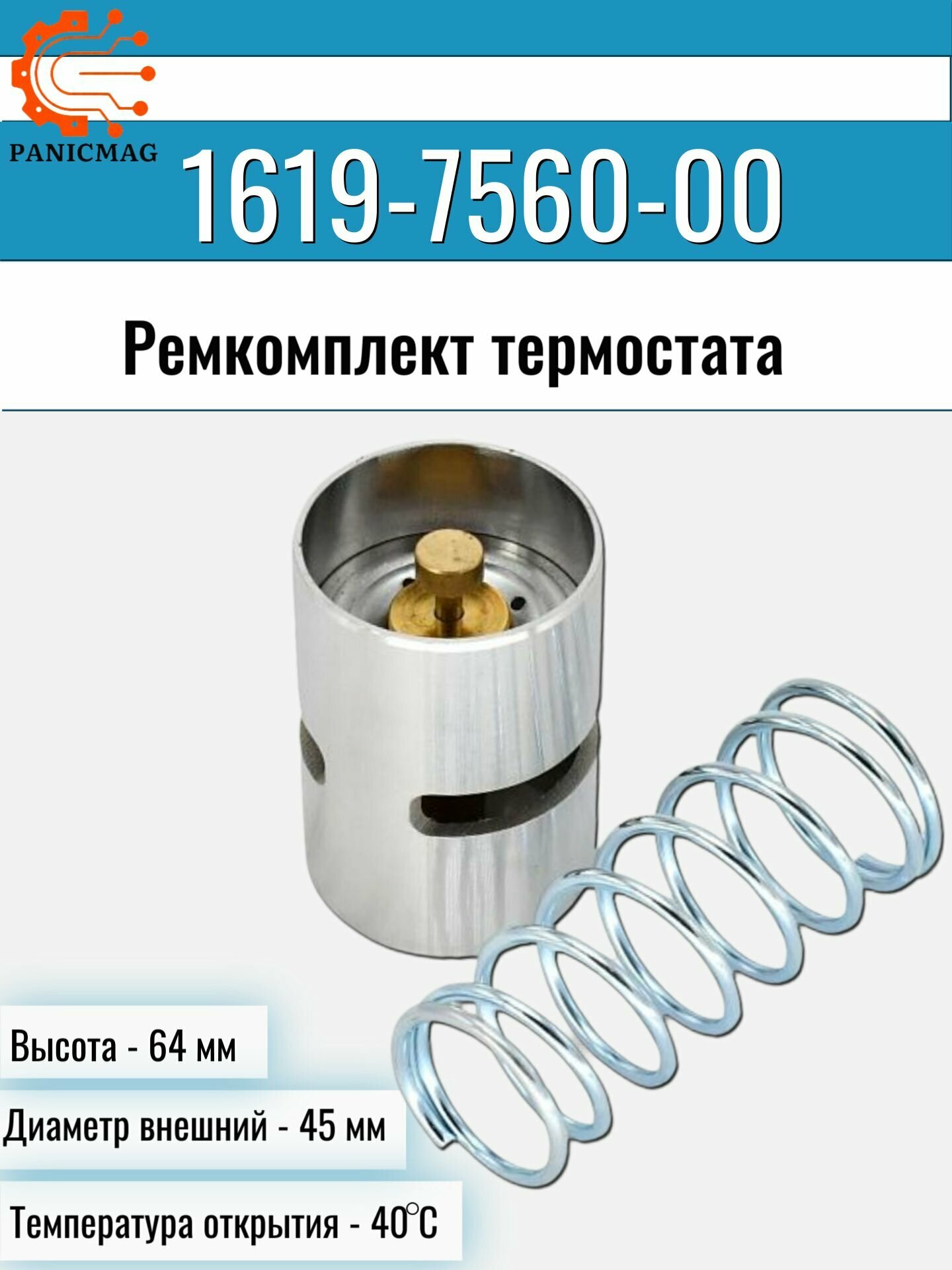 1619756000 . Ремкомплект термостата