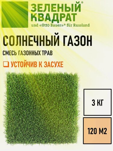 Изображение товара Семена газона 3 шт. Зеленый Квадрат солнечный 1 кг, для создания газона в засушливых местах