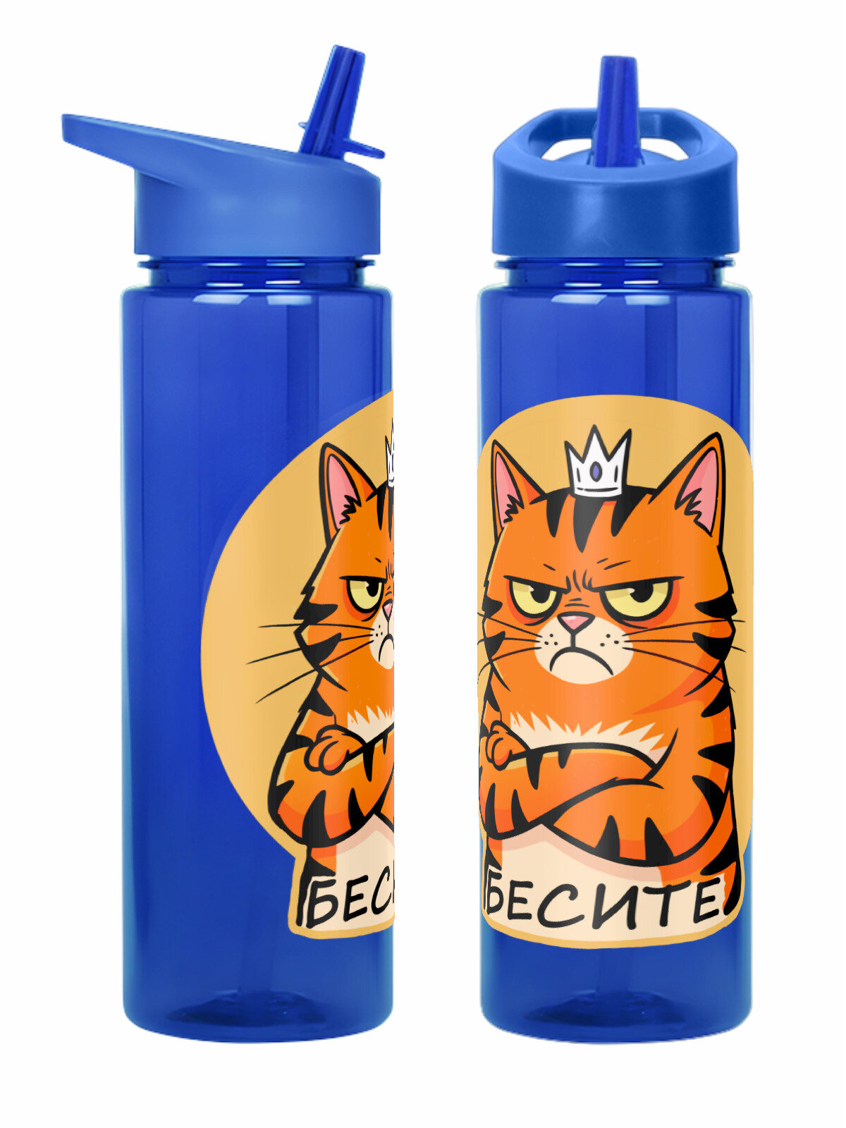 Бутылка синяя для воды с принтом Антисоциальный кот