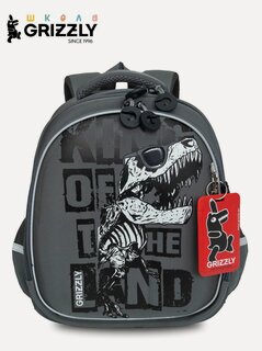 Изображение товара Ранец школьный формованный GRIZZLY с анатомической спинкой на ножках, для мальчика, RAz-487-2