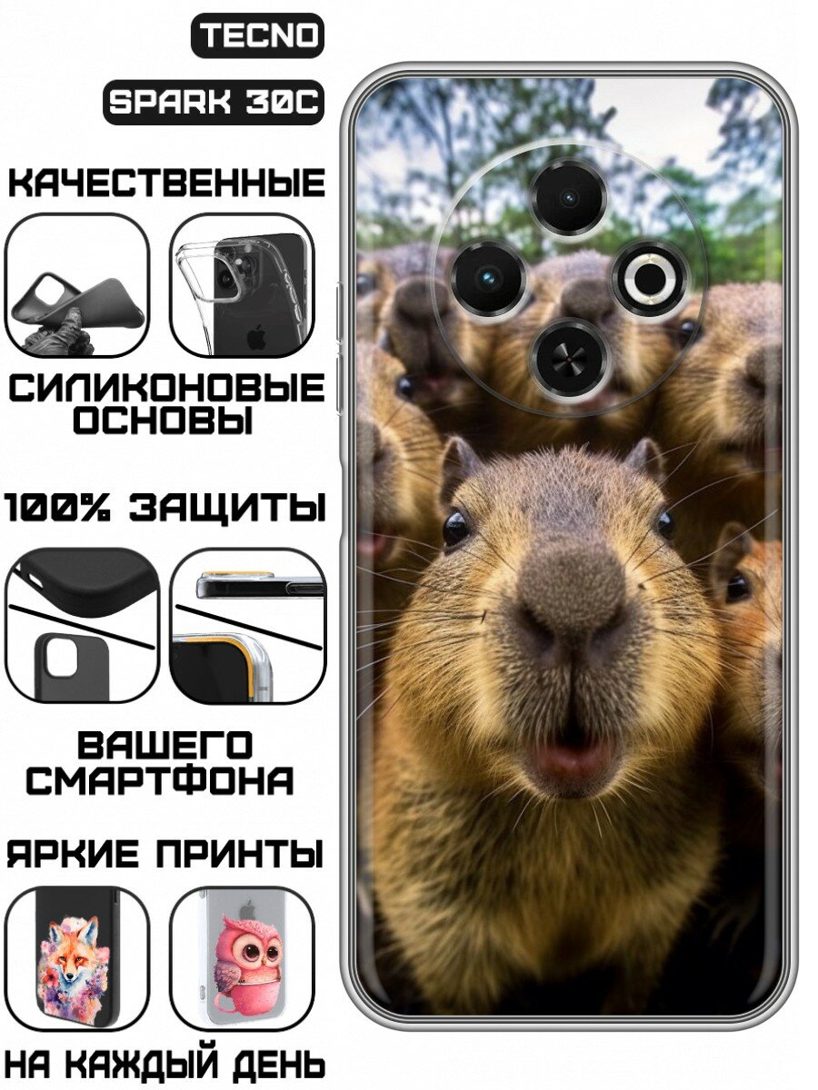 Чехол для Tecno Spark 30C с принтом Капибары (Техно Спарк 30С)