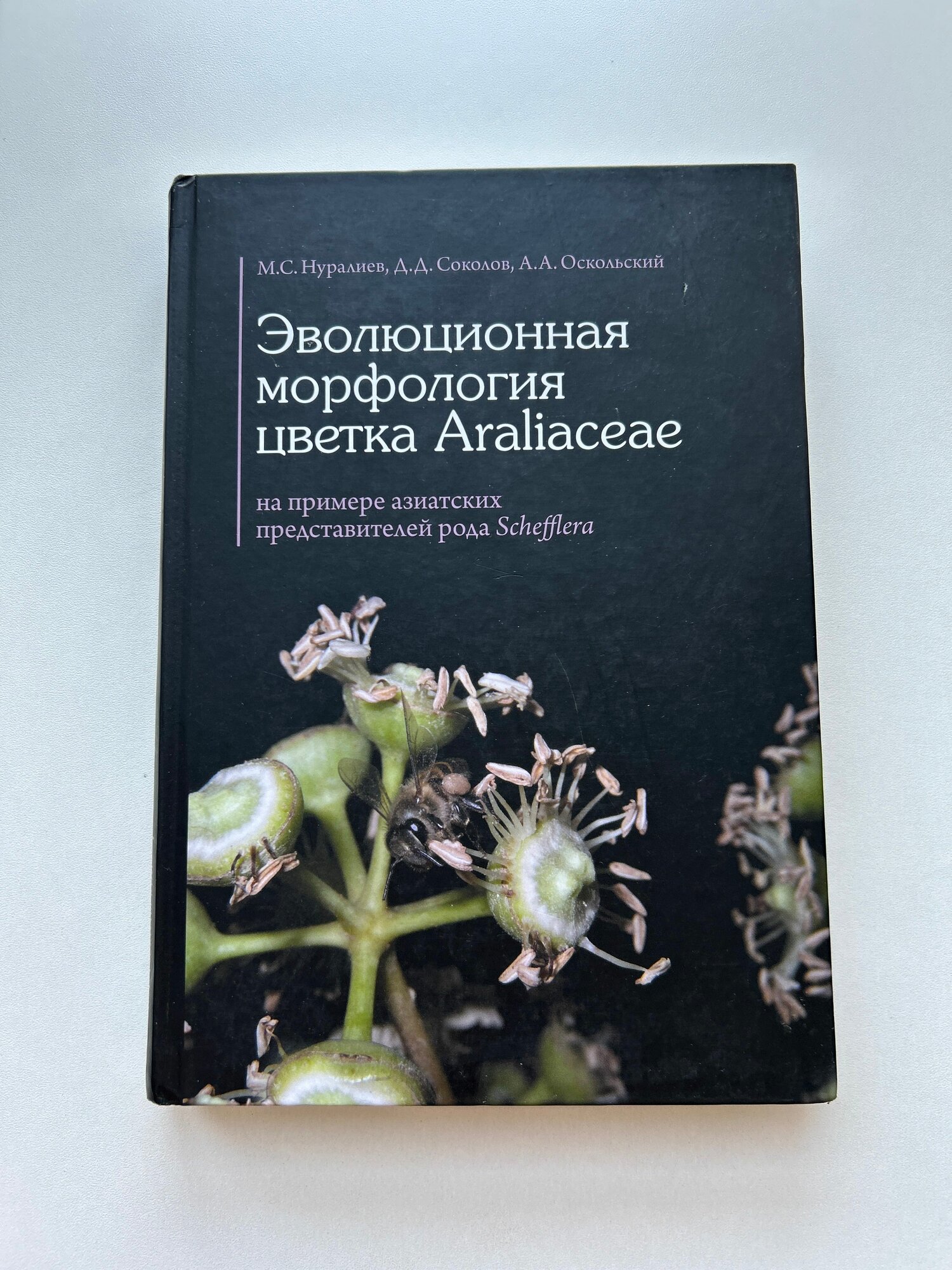 Книга редкая "Эволюционная морфология цветка Araliaceae на примере азиатских представителей рода Schefflera". Издание 2017 года (second-hand книга)