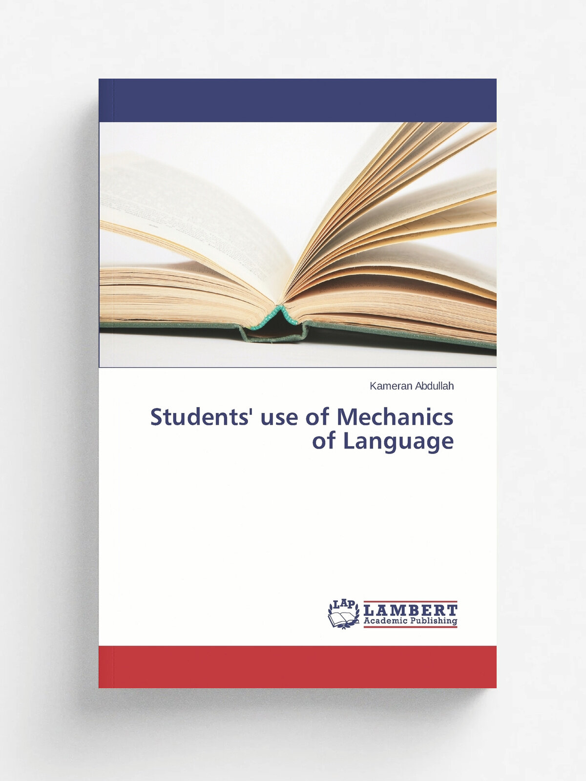Students' use of Mechanics of Language