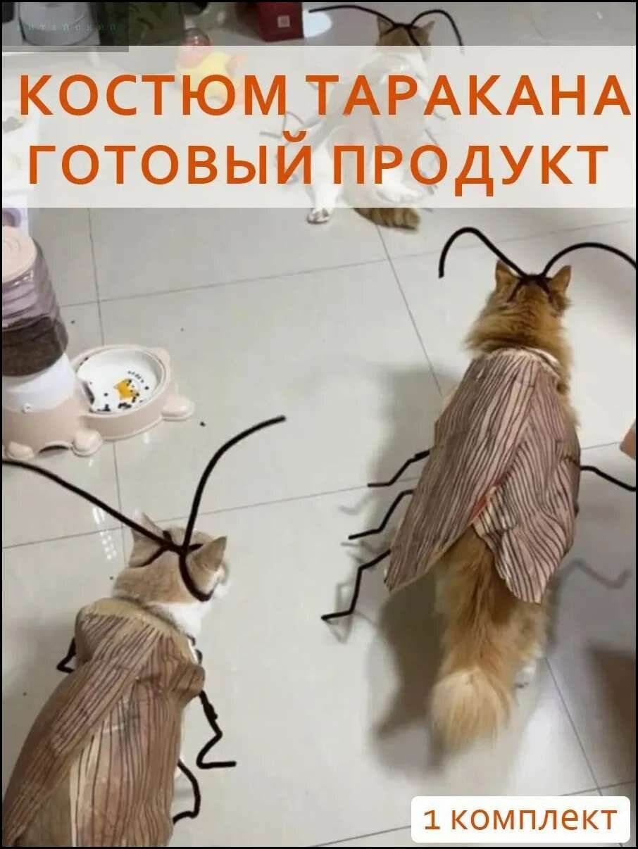 Набор для рукоделия костюм таракана для кошек и собак, DIY декор крыльев и усов, безопасный материал, Хэллоуин фотосесси