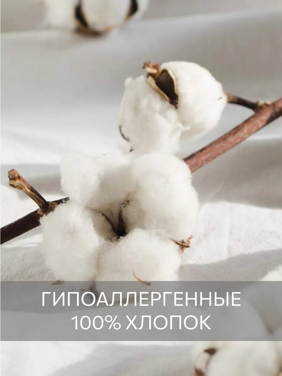 Набор полотенец махровых, Guten Morgen 3 шт, 30х50, 50х100, 70х140, хлопок 100%, 500 г/м2, Белый — фото 1