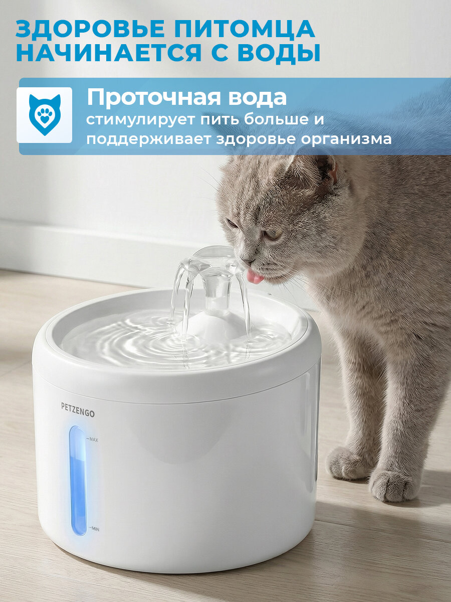 поилка для кошек — деталь, которую стоит сравнить