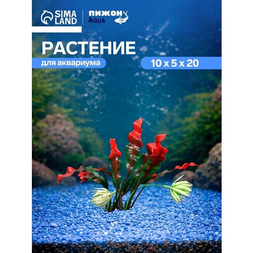 фото Набор искусственных растений пижон aqua, для аквариума, пластик, 20 см, 2 шт