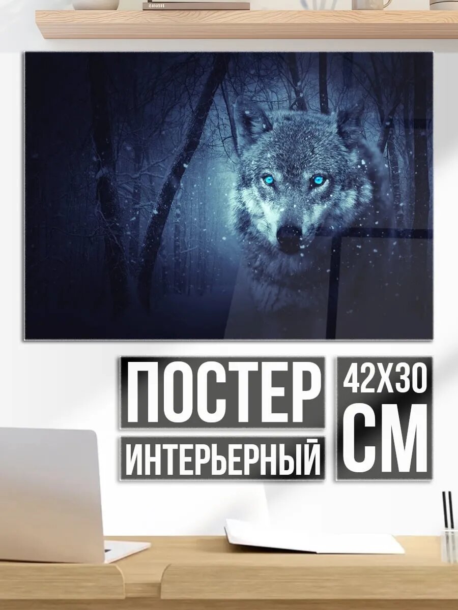 Плакат постер волк в лесу