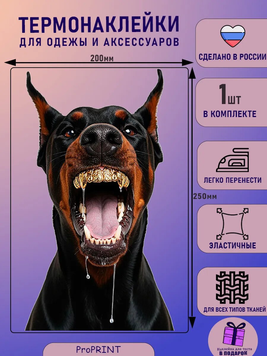 Термонаклейка на одежду взрослая