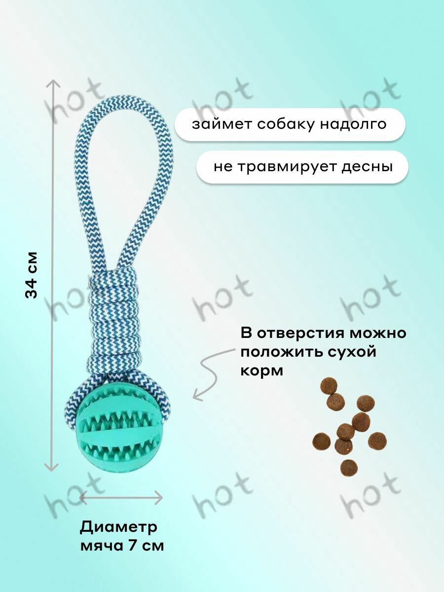 Мячик для собак больших и средних пород на веревке