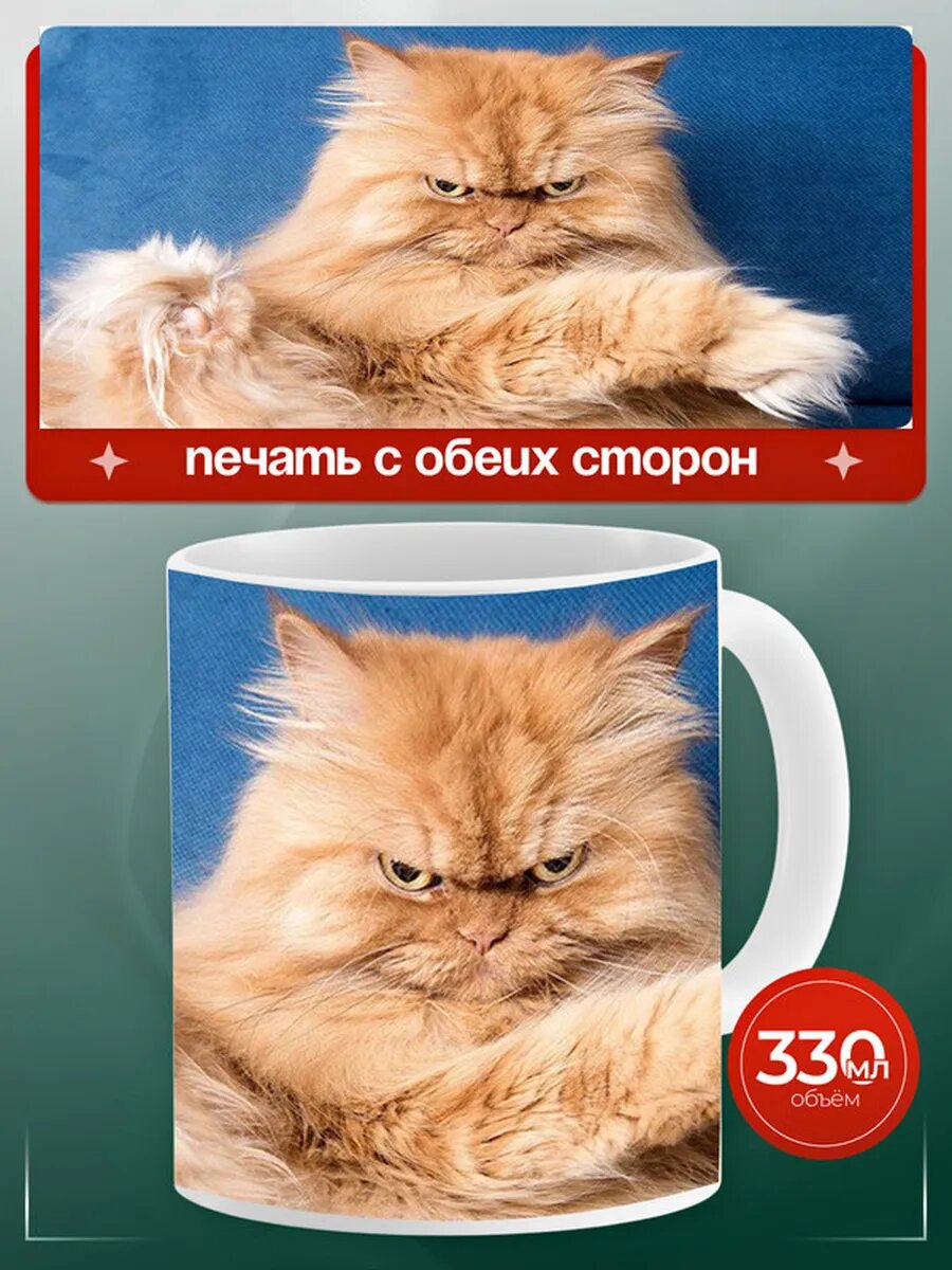 Кружка Американский рингтейл длинношерстный кот 23,
