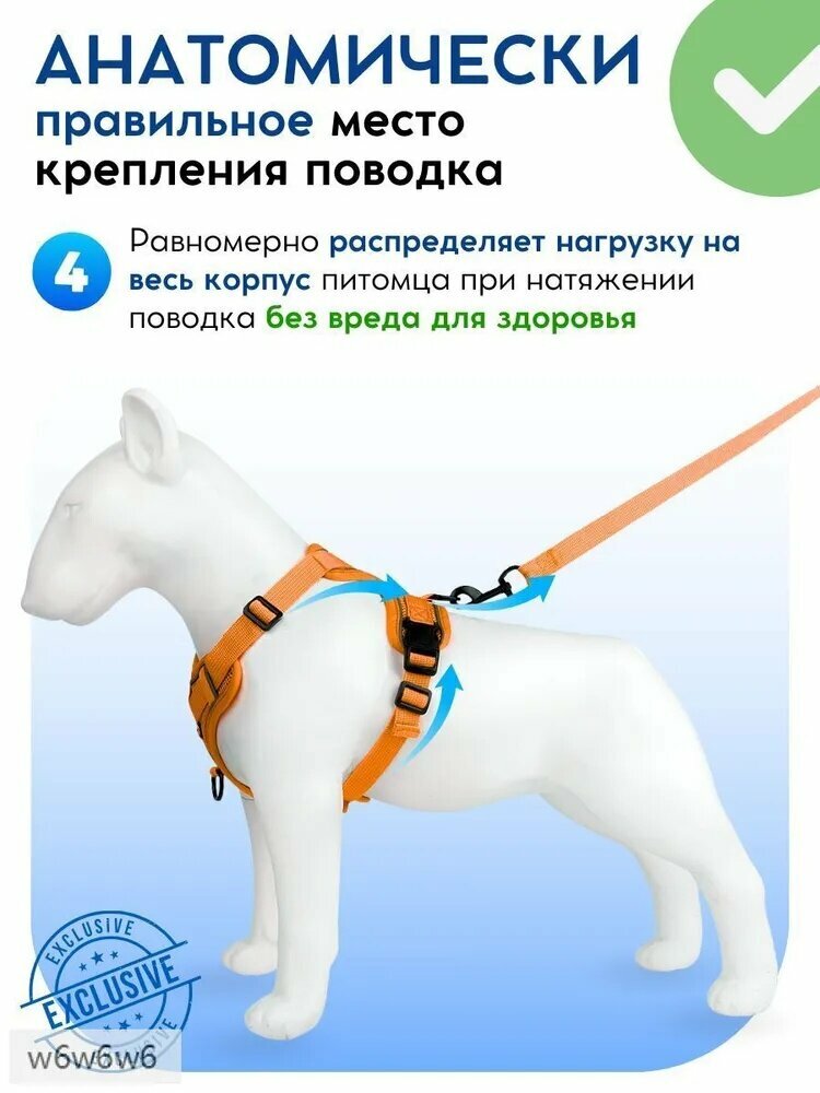 Шлейка — фото 1
