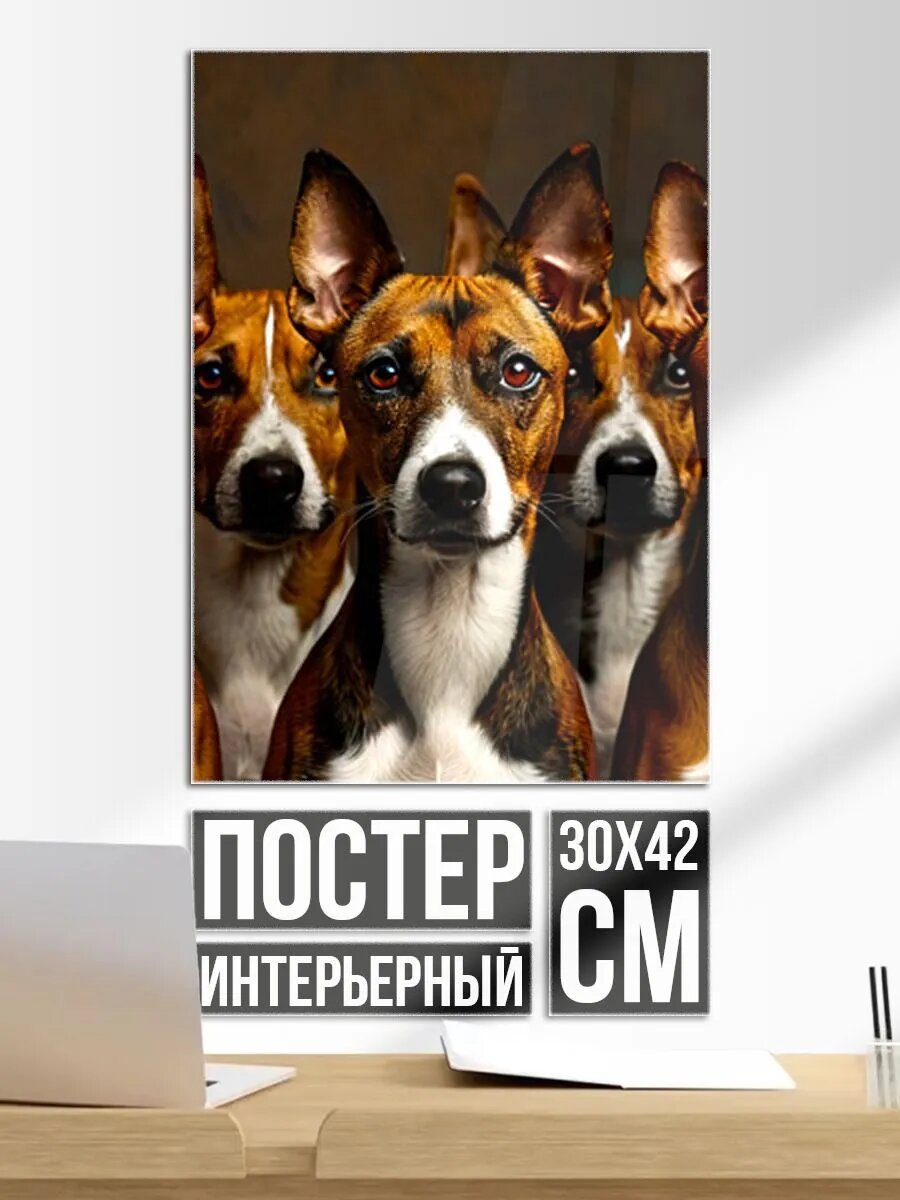 Постер на стену Басенджи