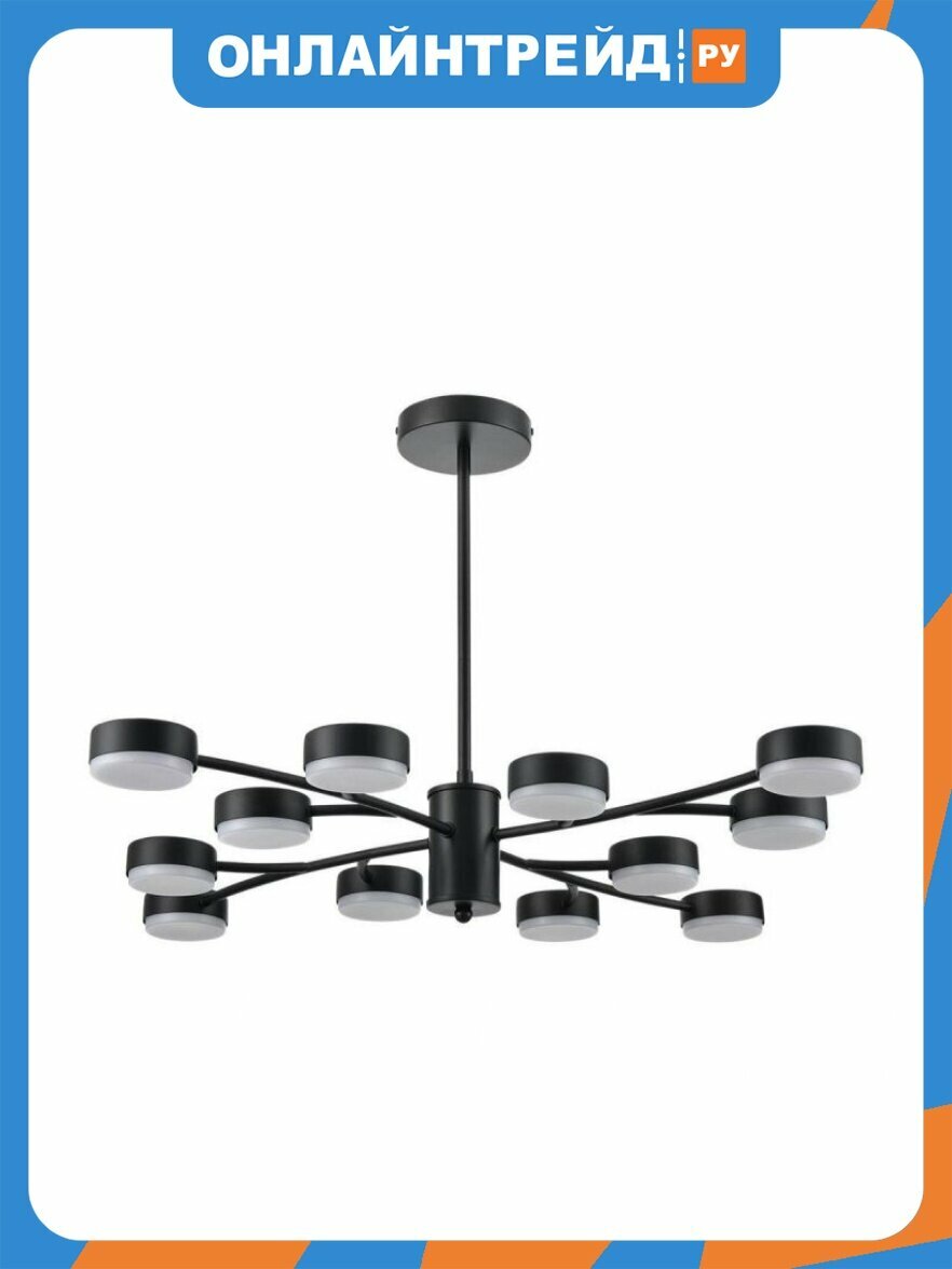 Люстра на штанге Lumion Comfi Torina 8117/12