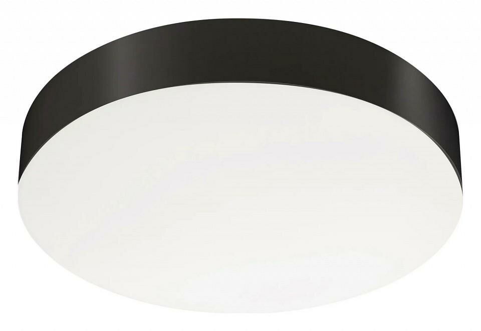 Накладной светильник Arlight SP-FLOWER 041487 цвет плафона подвески Белый, Черный, цвет арматуры Черный