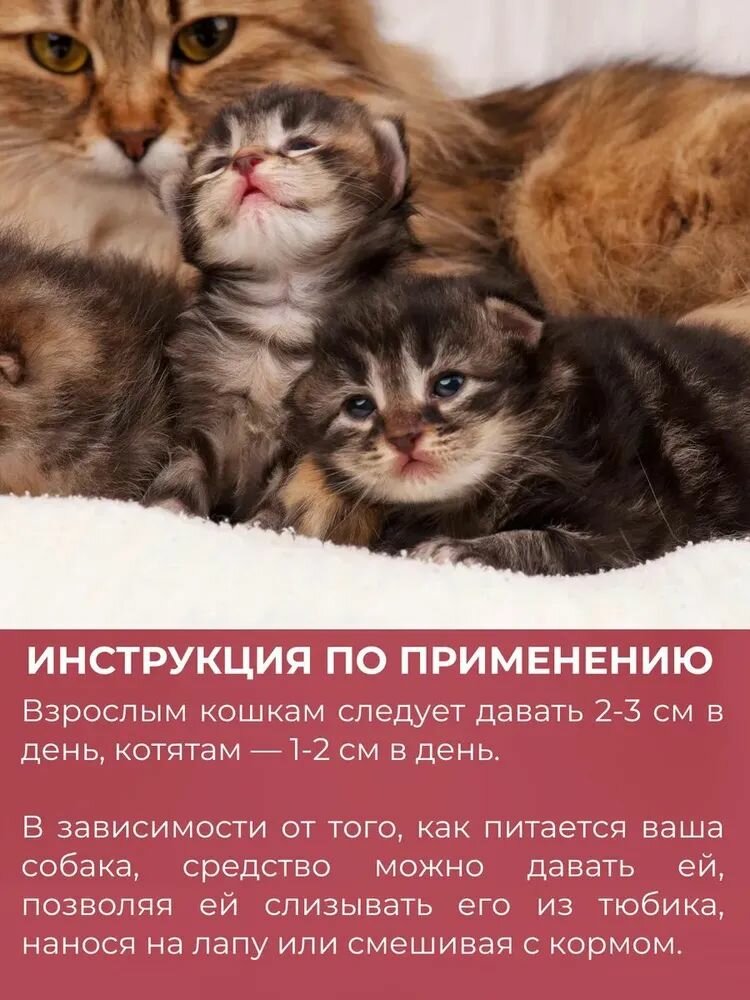 Мультивитаминная паста с кальцием и таурином для котят и кошек