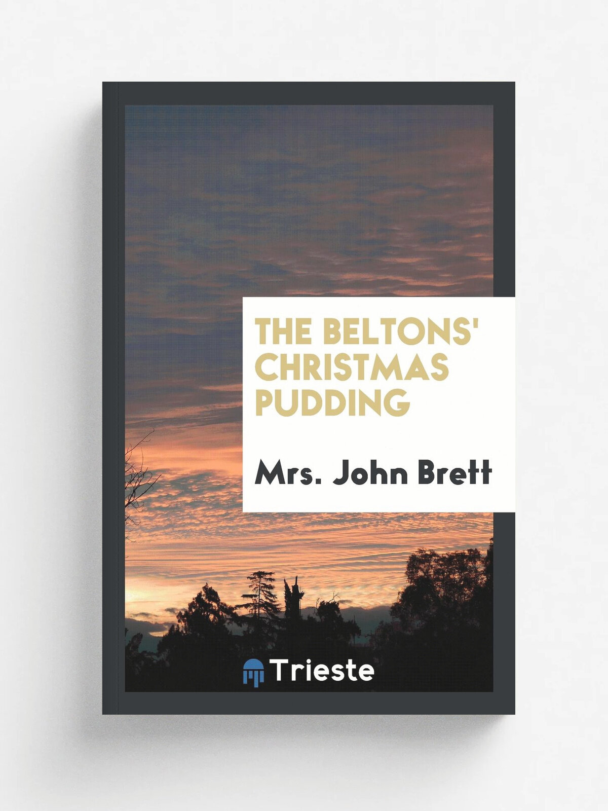 The Beltons' Christmas Pudding