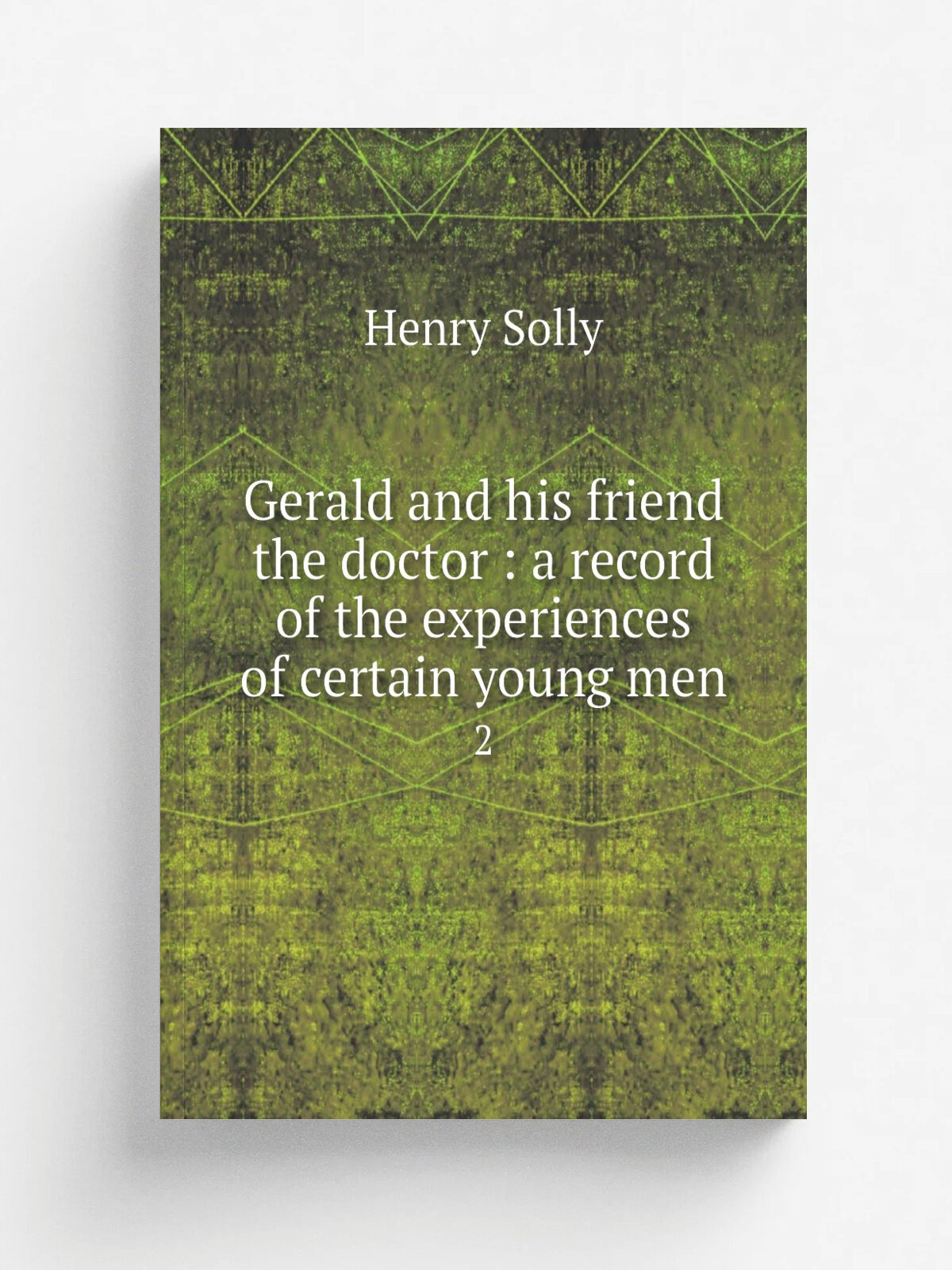 Gerald and his friend the doctor : a record of the experiences of certain young men. 2