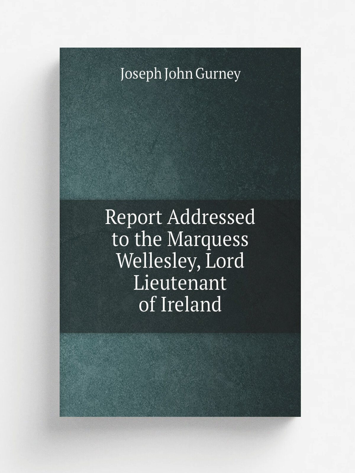 Report Addressed to the Marquess Wellesley, Lord Lieutenant of Ireland