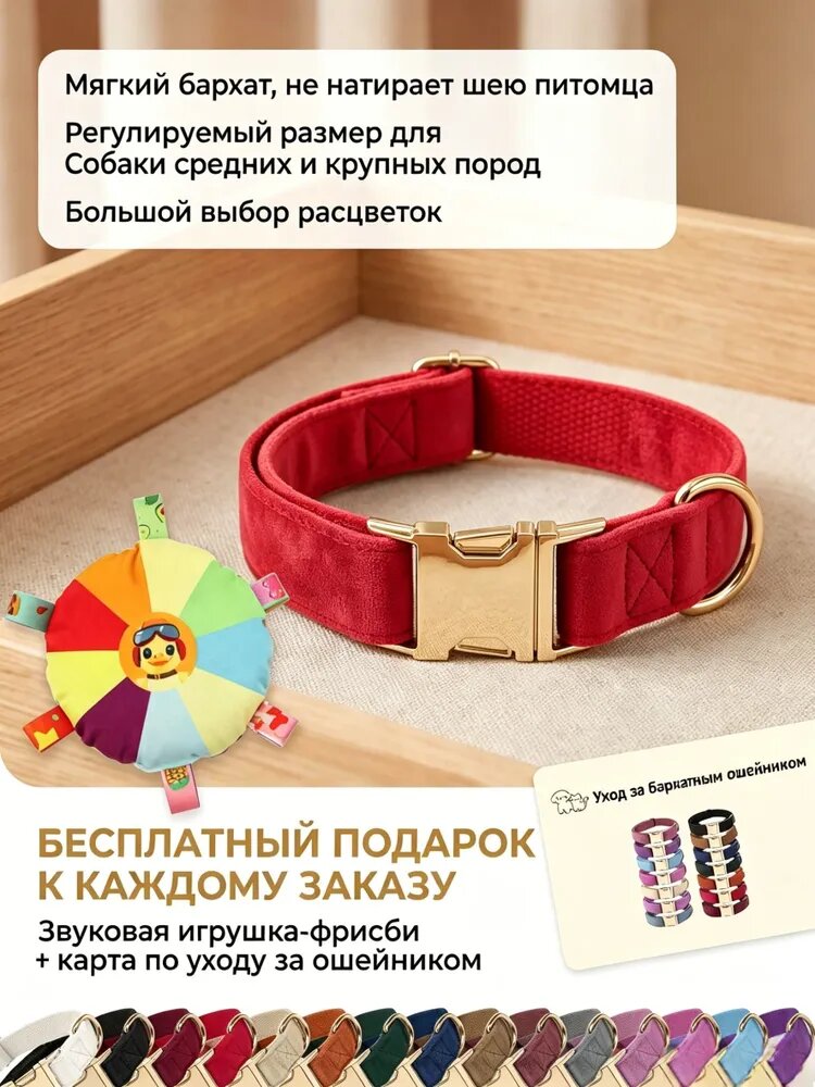 Бархатный регулируемый ошейник для мелких и средних собак, мягкий не натирает шею, в подарок звуковая игрушка-фрисби + карта по уходу, много расцветок