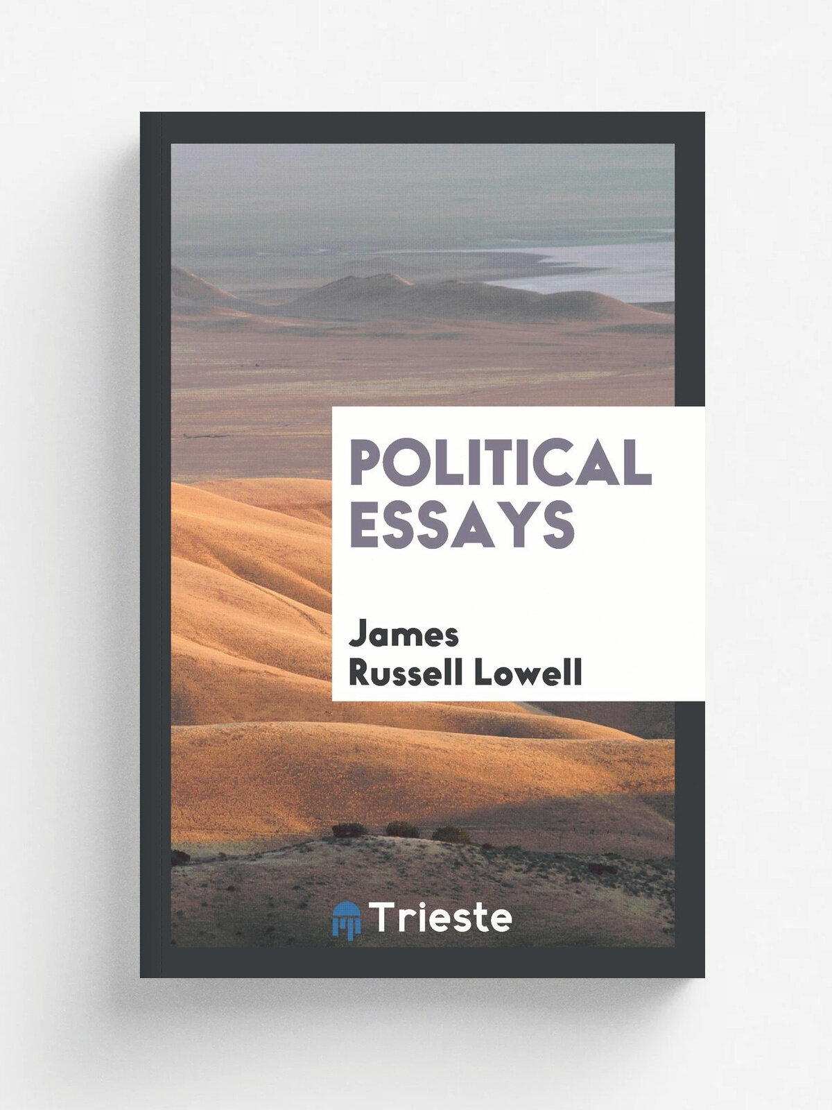 Political Essays